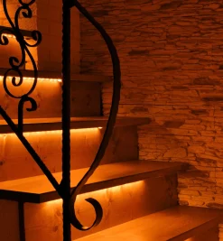 Lee Valley 32' Color-Controlled RGB+W LED Tape Light Set, 30+30 LEDs/m