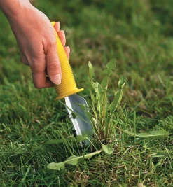 Lee Valley All-Purpose Lifetime Weeder