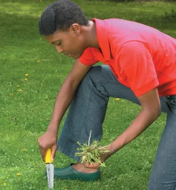 Lee Valley All-Purpose Lifetime Weeder