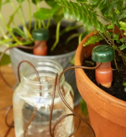 Lee Valley Automatic Plant Waterers