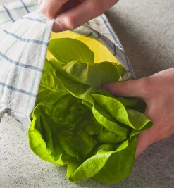 Lee Valley Beeswax Bread Storage Bag