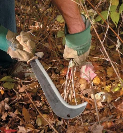 Lee Valley Bill Hook