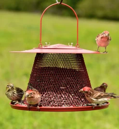 Lee Valley Bird Feeding Set