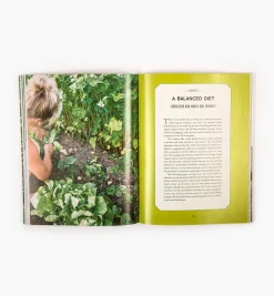 Lee Valley Building Soil