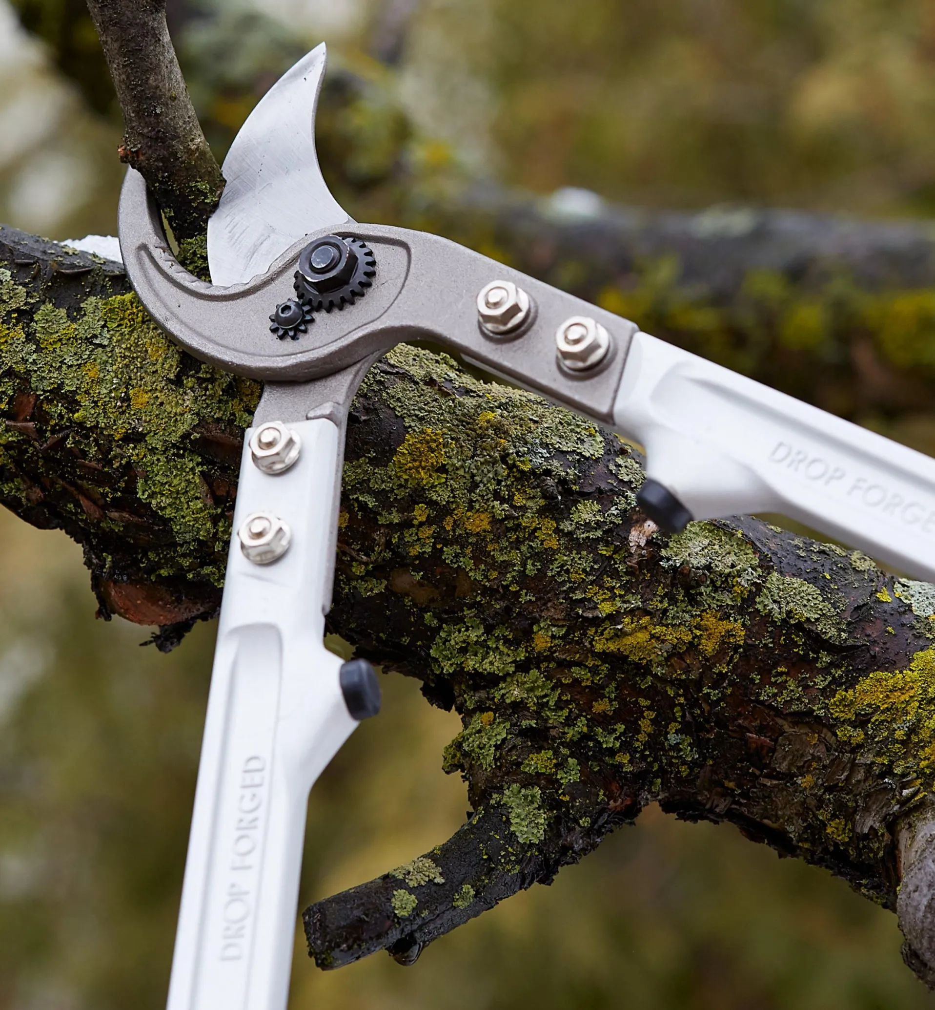 Lee Valley Bypass Loppers