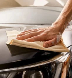 Lee Valley Car Cleaning Savings