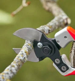 Lee Valley Castellari Double-Bladed Pruner
