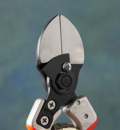 Lee Valley Castellari Double-Bladed Pruner
