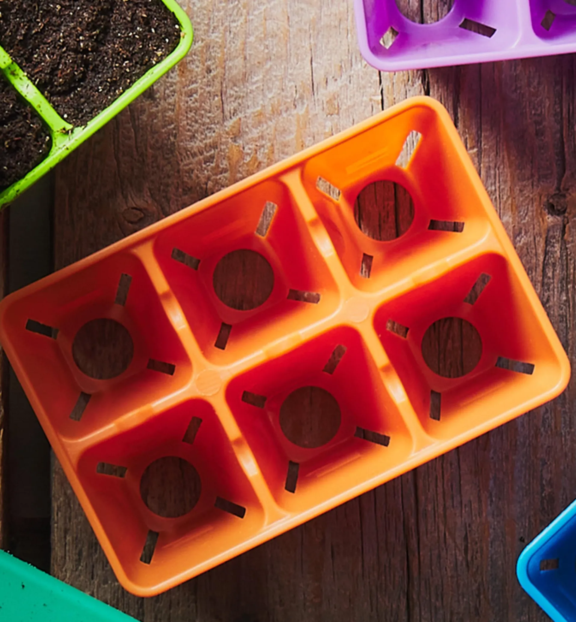 Lee Valley 72-Cell Modular Seed Starter With Propagation Tray