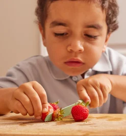 Lee Valley Child-Safe Knife