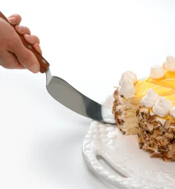 Lee Valley Classic Stainless-Steel Cake Knife And Server