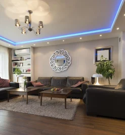 Lee Valley Color-Controller Signal Amplifier (12V)