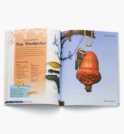 Lee Valley Complete Guide To Bird Carving