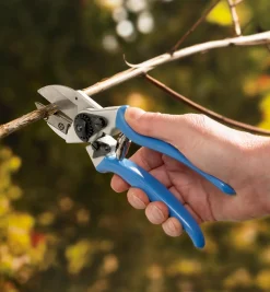 Lee Valley Complete Pruning Kit
