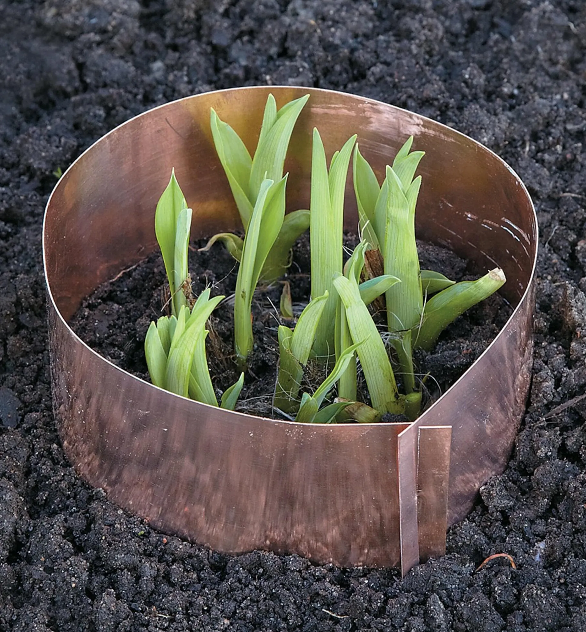 Lee Valley Copper Slug Rings