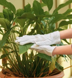 Lee Valley Cotton Utility Gloves