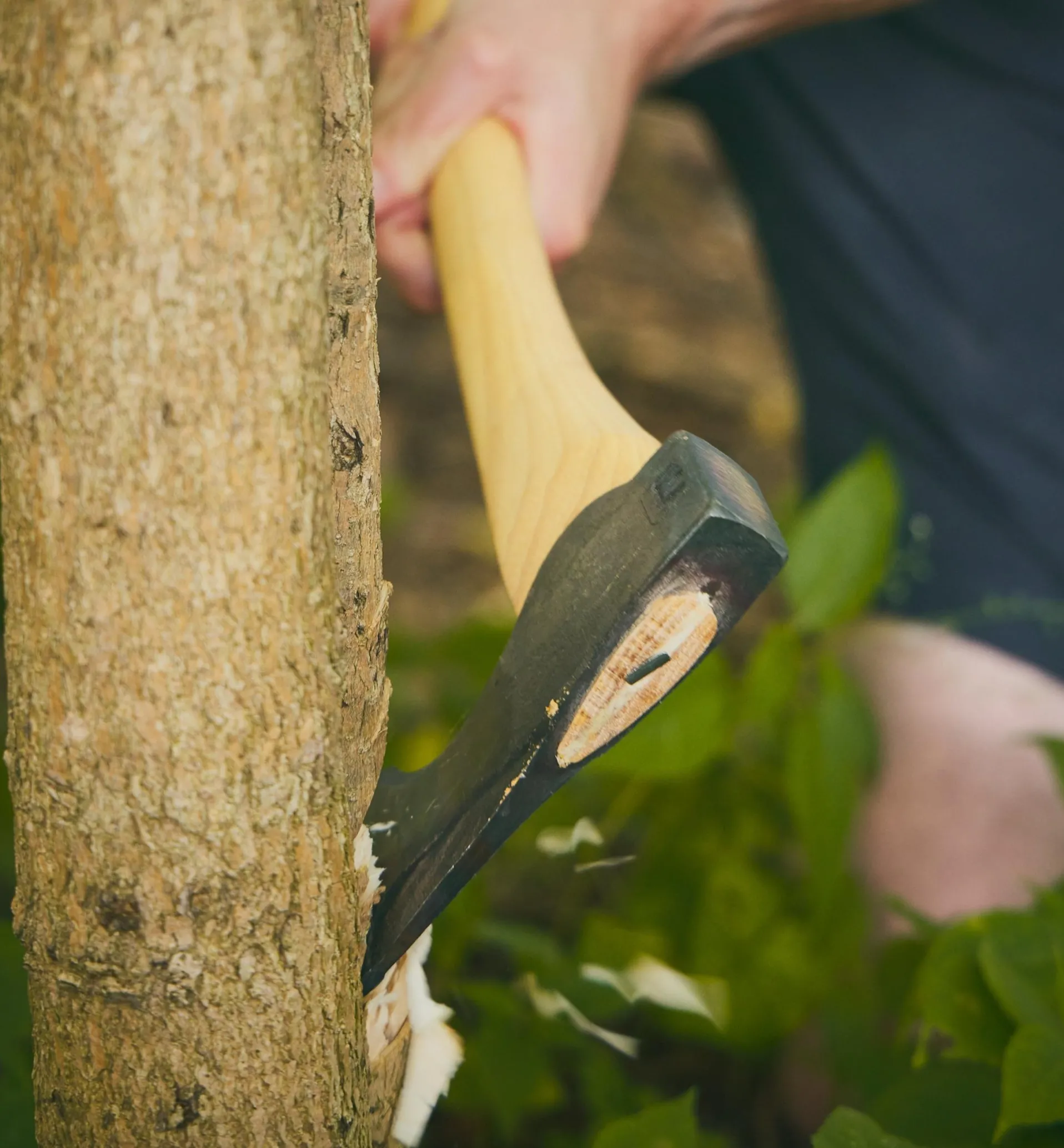 Lee Valley Council Tool Wood-Craft 24" Pack Axe