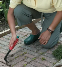 Lee Valley Crack Weeder