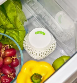 Lee Valley Crisper Insert