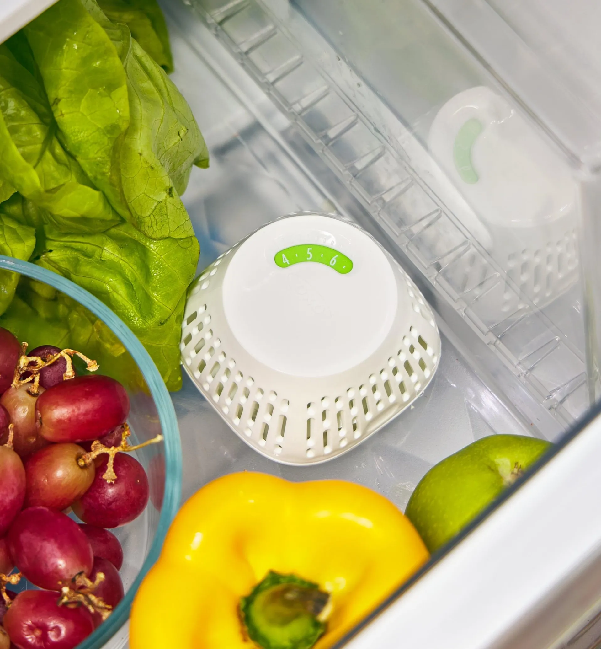 Lee Valley Crisper Insert