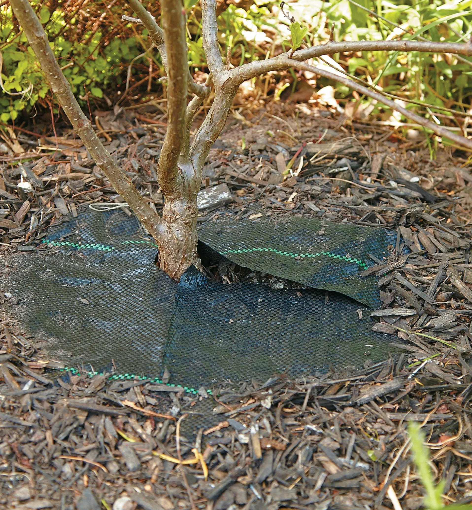 Lee Valley Crop Circles Weed-Barrier Mats