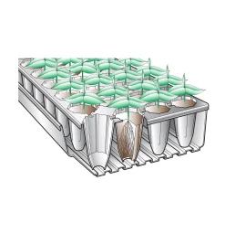 Lee Valley Deep-Root Seed Starters