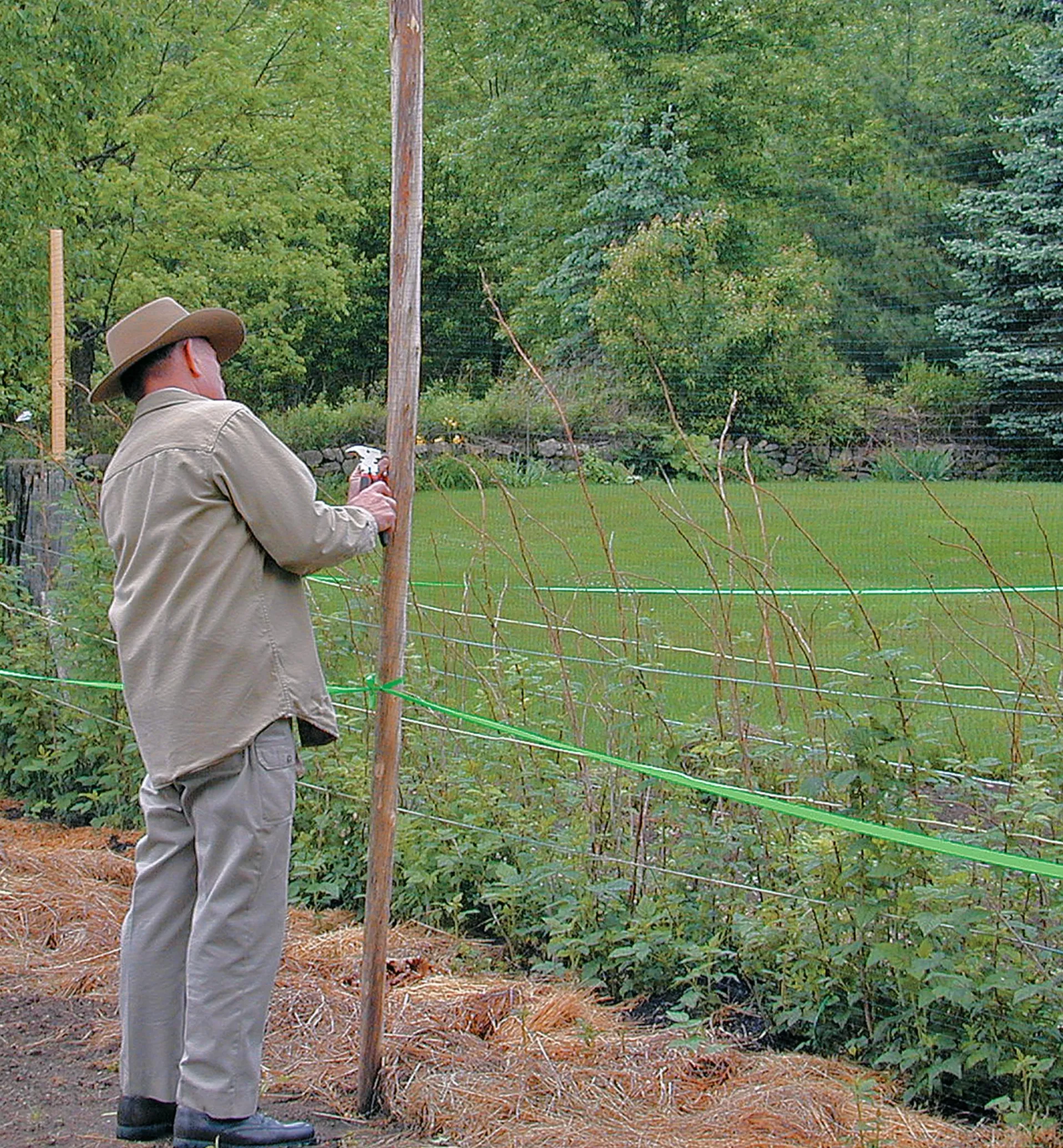 Lee Valley Deer Fence