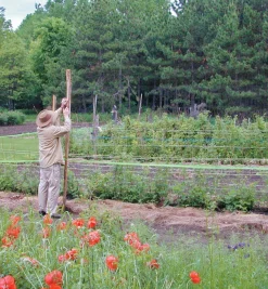 Lee Valley Deer Fence