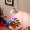 Lee Valley Desktop LED Grow Lamp