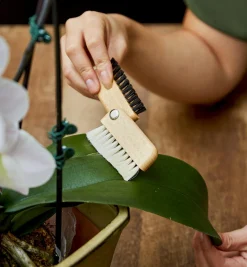 Lee Valley Detail Dusting Brush