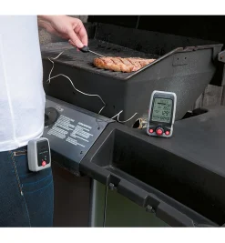 Lee Valley Digital Cooking Thermometer With Pager