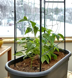 Lee Valley Elho Self-Watering Planter With Trellis