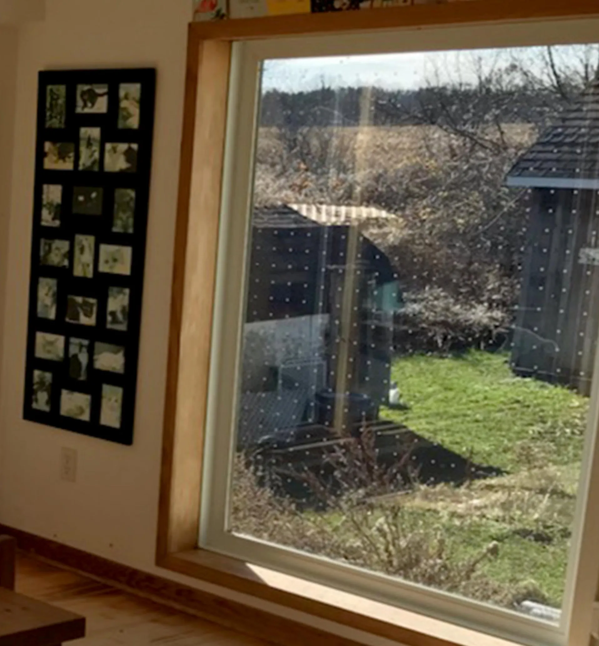 Lee Valley Feather Friendly Window Collision Tape