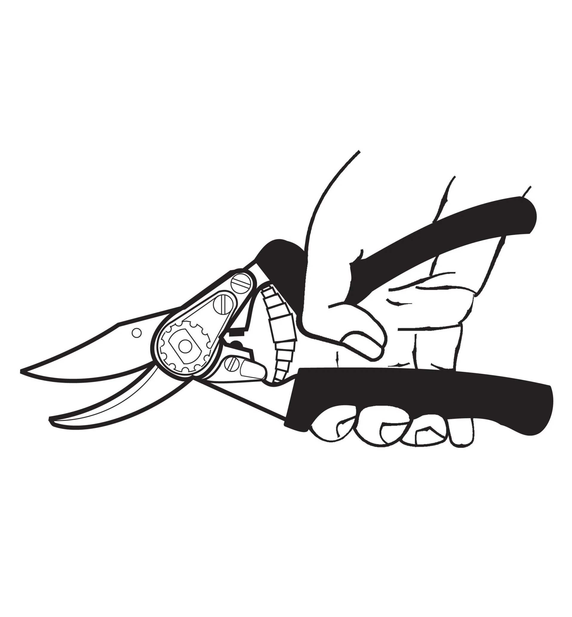 Lee Valley Felco #7 Pruner