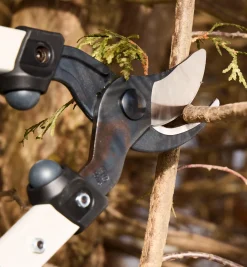 Lee Valley Felco Loppers