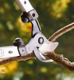 Lee Valley Felco Loppers