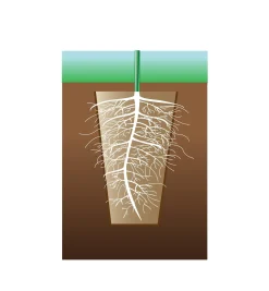 Lee Valley Fiber Pots