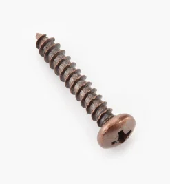 Lee Valley Finished Steel Screws