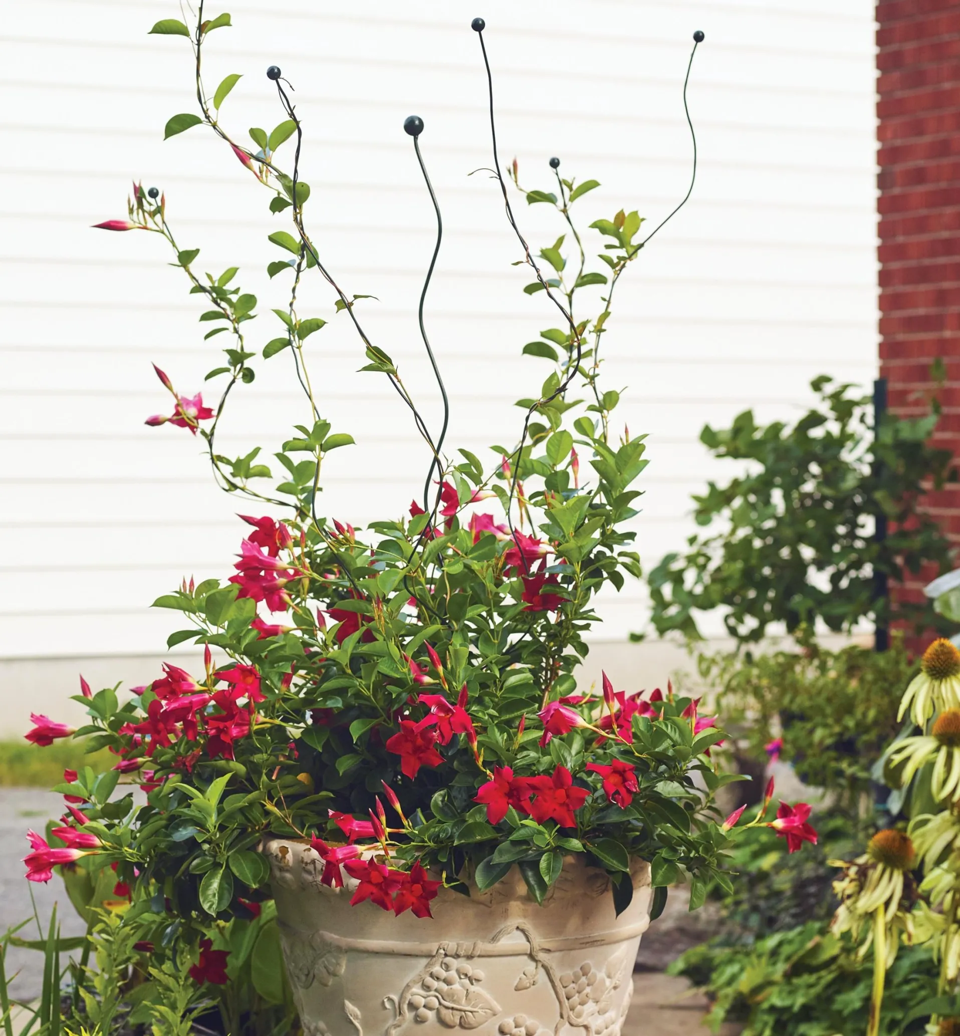 Lee Valley Flexible Garden Stake