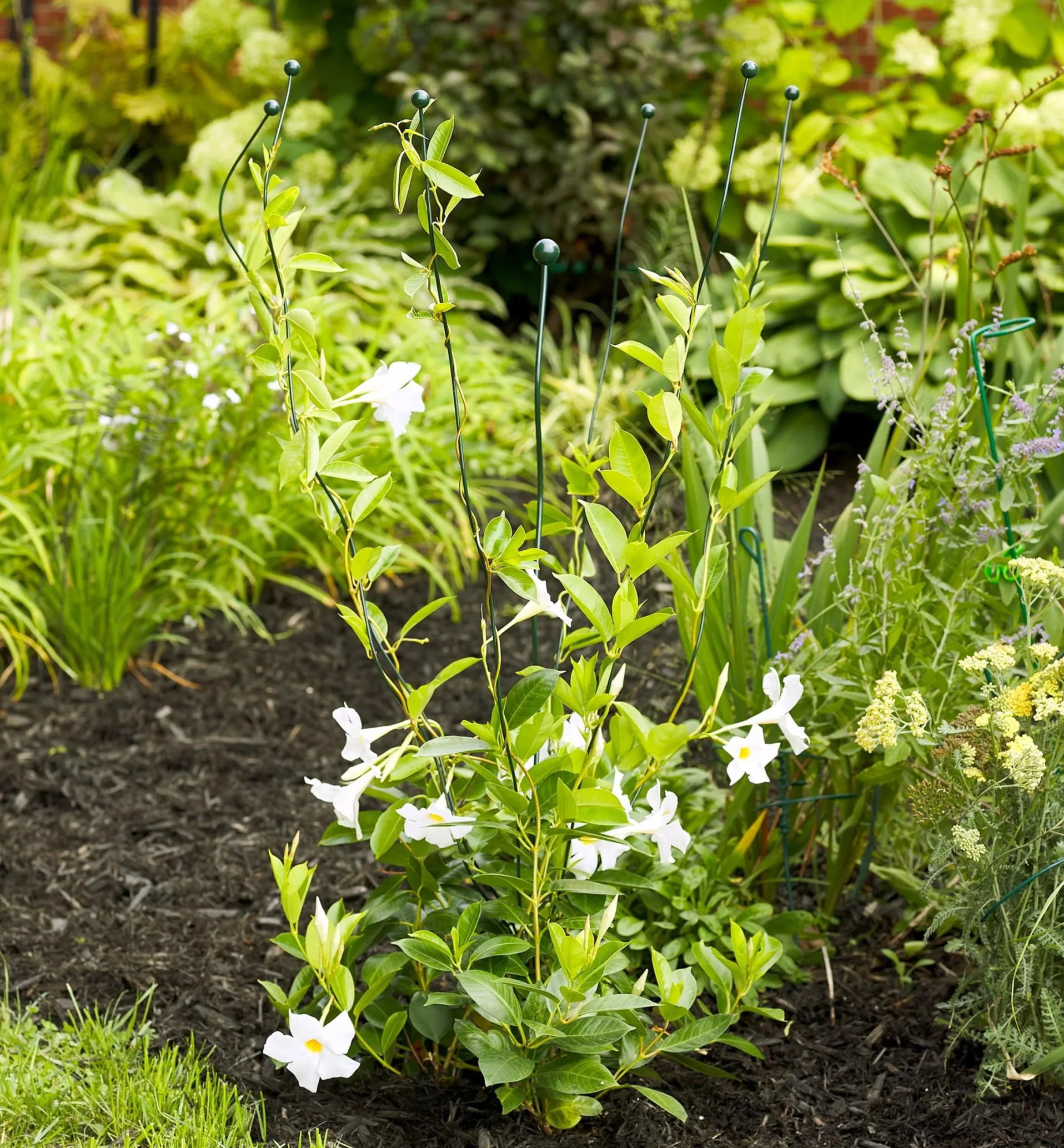 Lee Valley Flexible Garden Stake