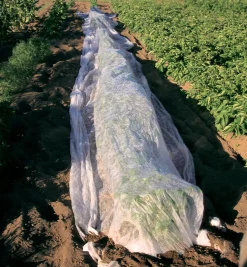 Lee Valley Floating Row Cover