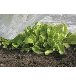 Lee Valley Floating Row Cover