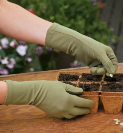 Lee Valley Foxgloves