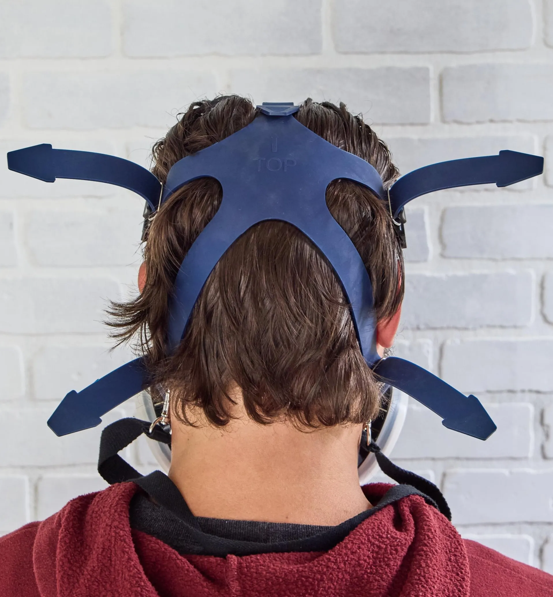 Lee Valley Full-Face OV Respirator Mask