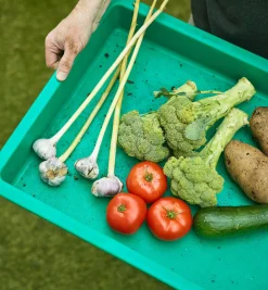 Lee Valley Giant Plant Tray