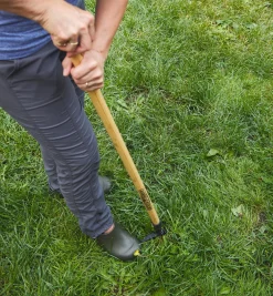 Lee Valley Grampa's Weeder