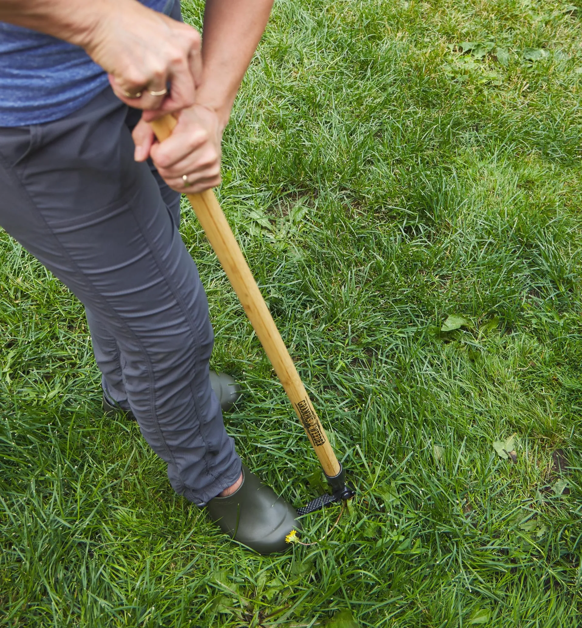 Lee Valley Grampa's Weeder