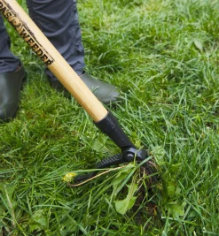 Lee Valley Grampa's Weeder