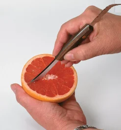 Lee Valley Grapefruit Knife