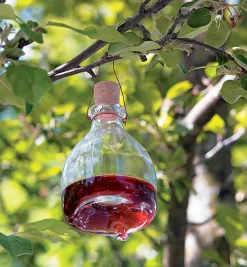 Lee Valley Hanging Wasp Trap